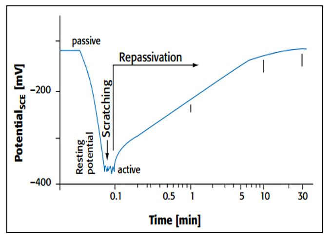 Passive Film Repassivation Process Repassivation behavior of passive materials showing protective oxide film recovery